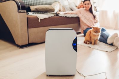Dehumidifier Replacement in Monmouth County, NJ